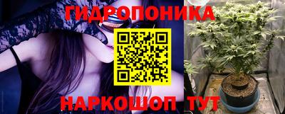 индика Ливны