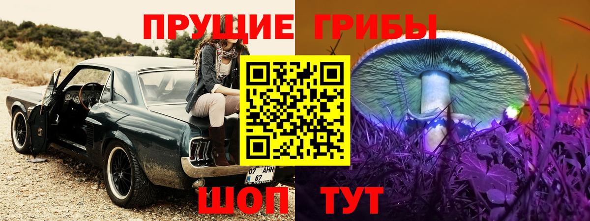 Чусовой  Псилоцибиновые грибы мухоморы  Псилоцибиновые грибы ЛСД  Вход с VPN 